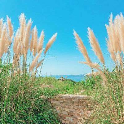 重磅：香港稳定币首批牌照公布！RWA万亿风口来了