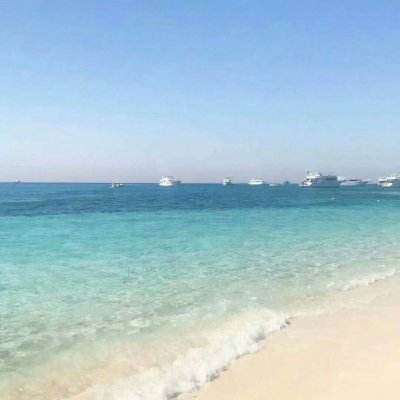 尽管分析师持怀疑态度，谷歌取得技术突破仍引发芯片股抛售